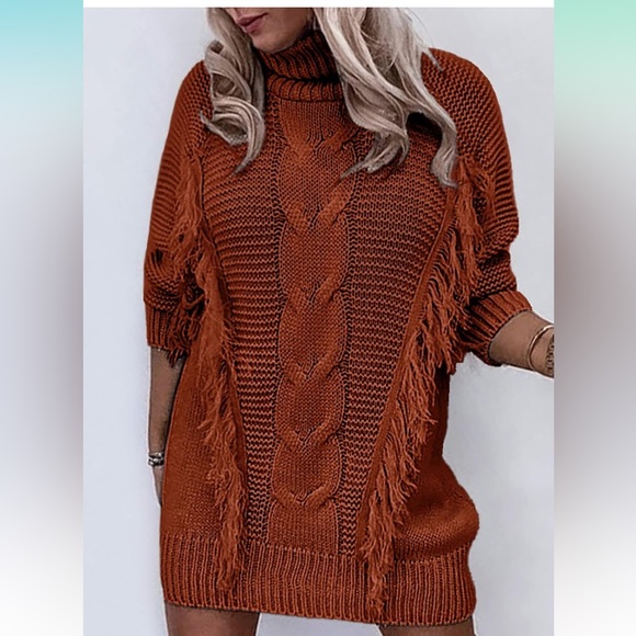 NWT Chunky Knit Turtle Neck fringe Sweater Dress - Picture 3 of 8